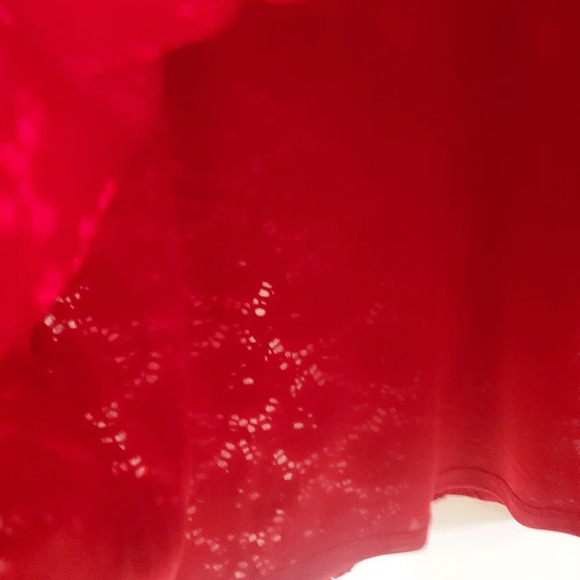 Alfani Red Eyelet Lace Overlay with Back Exposed Zipper in Size XL - Picture 5 of 9